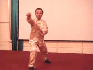 Wahnam Taijiquan Tai Chi Chuan