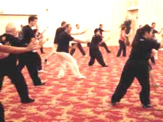 Wahnam Taijiquan