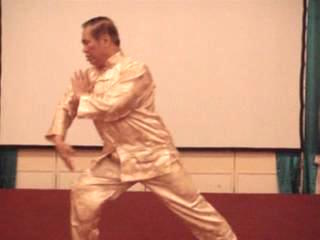 Taijiquan 12 Combat Sequences