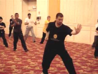 Wahnam Taijiquan