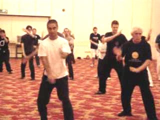 Wahnam Taijiquan Tai Chi Chuan