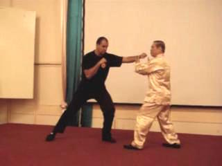 Wahnam Taijiquan