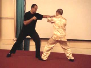 Wahnam Taijiquan