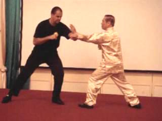 Wahnam Taijiquan