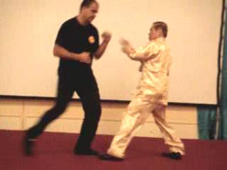 Wahnam Taijiquan Tai Chi Chuan