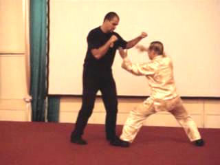 Wahnam Taijiquan