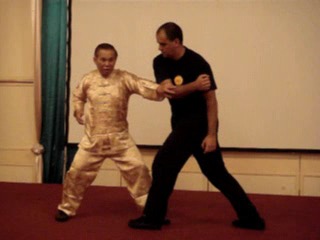 Wahnam Taijiquan