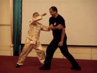 Wahnam Taijiquan Tai Chi Chuan