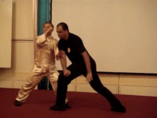 Wahnam Taijiquan