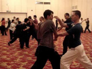 Wahnam Taijiquan