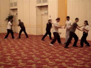 Wahnam Taijiquan