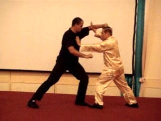 Wahnam Taijiquan