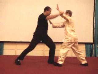 Wahnam Taijiquan Tai Chi Chuan