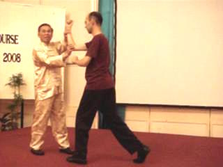 Wahnam Taijiquan