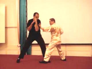 Taijiquan