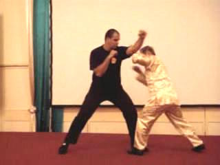 Wahnam Taijiquan