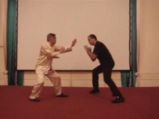 Wahnam Taijiquan