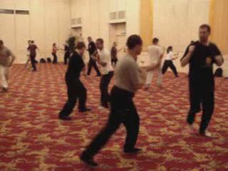 Wahnam Taijiquan