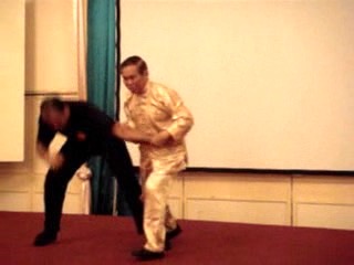 Wahnam Taijiquan