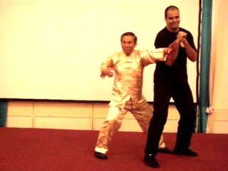 Wahnam Taijiquan