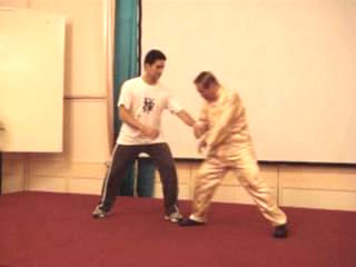 Wahnam Taijiquan