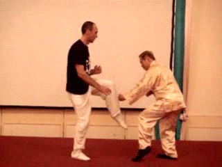 Wahnam Taijiquan