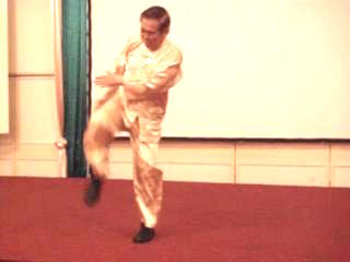 Wahnam Taijiquan