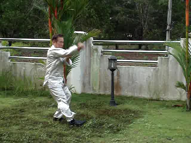 Praying mantis Kungfu