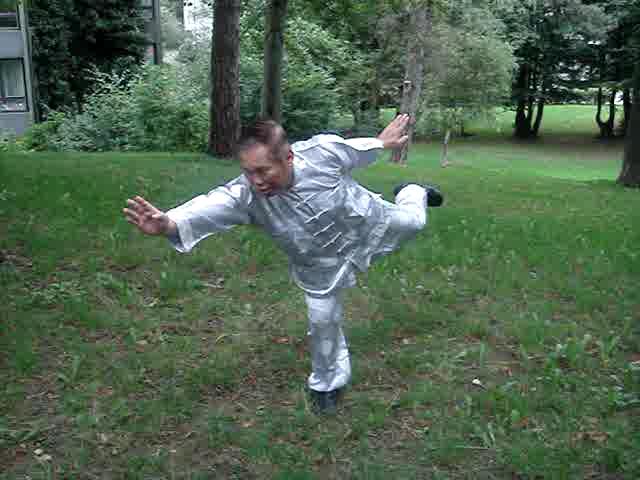 Yang Style Taijiquan