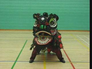 Lion Dance