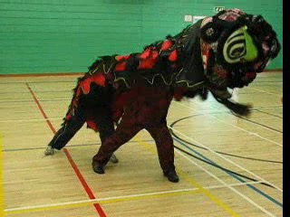 Lion Dance