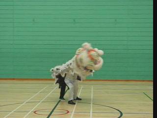 Lion Dance