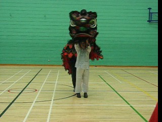 Lion Dance