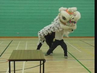 Lion Dance