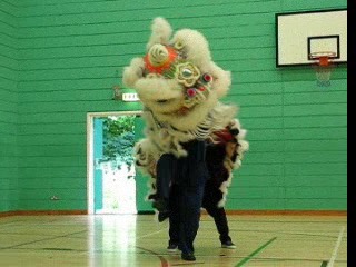 Lion Dance