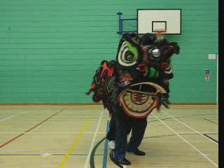 Lion Dance