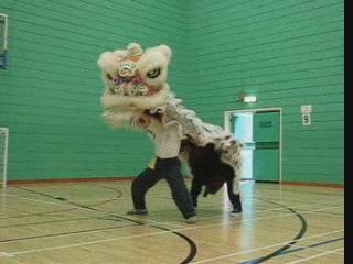 Lion Dance