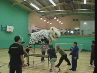 Lion Dance