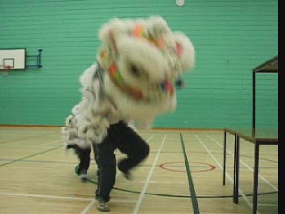 Lion Dance