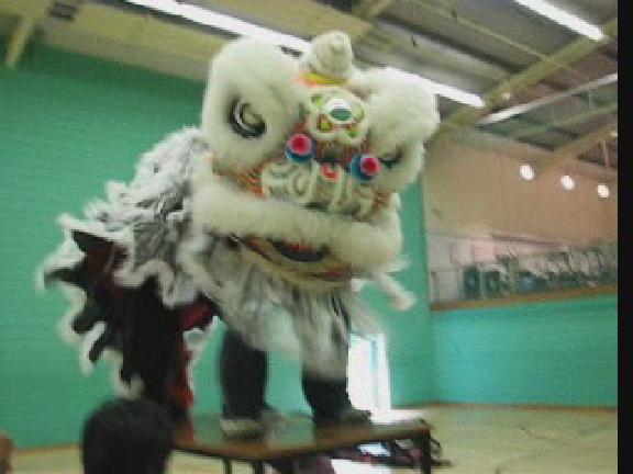 Lion Dance