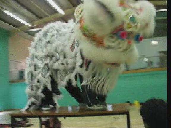 Lion Dance