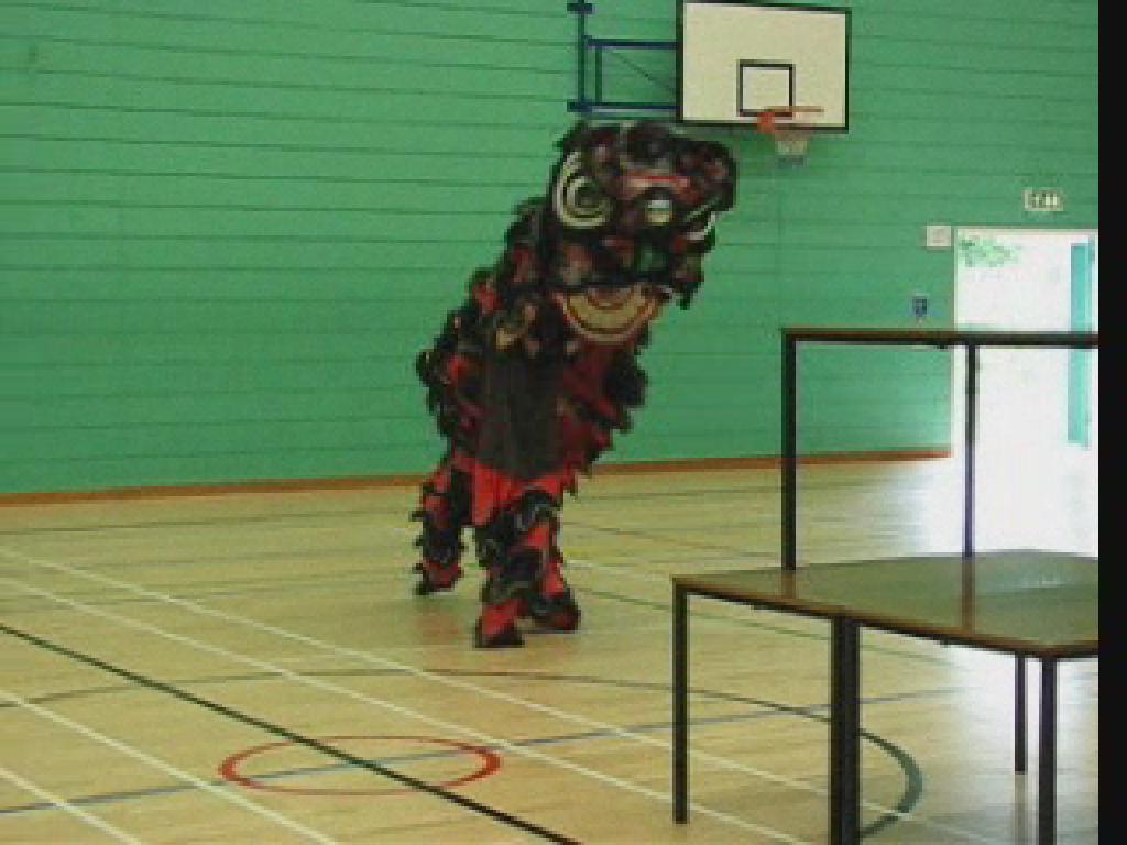 Lion Dance