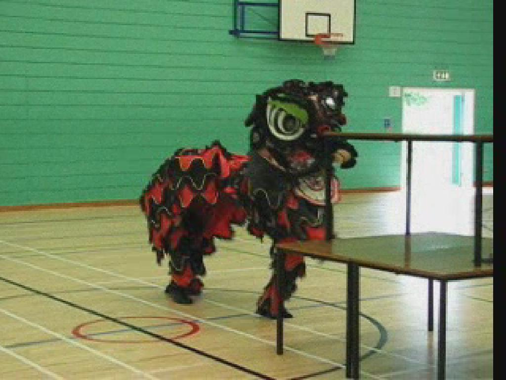 Lion Dance