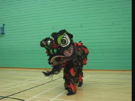 Lion Dance