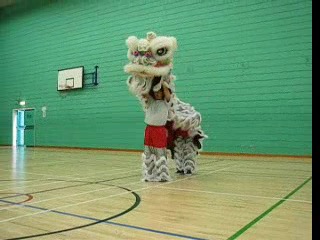 Lion Dance