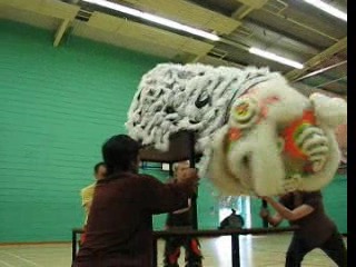 Lion Dance