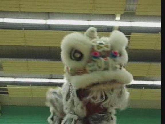 Lion Dance