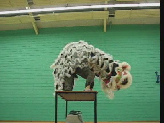 Lion Dance