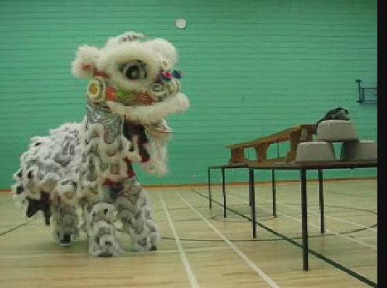 Lion Dance