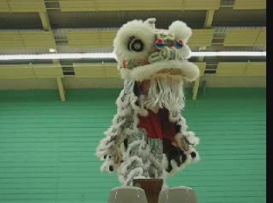 Lion Dance